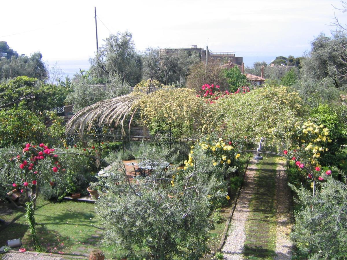 Suite Lidia B&B Sorrento Exteriör bild