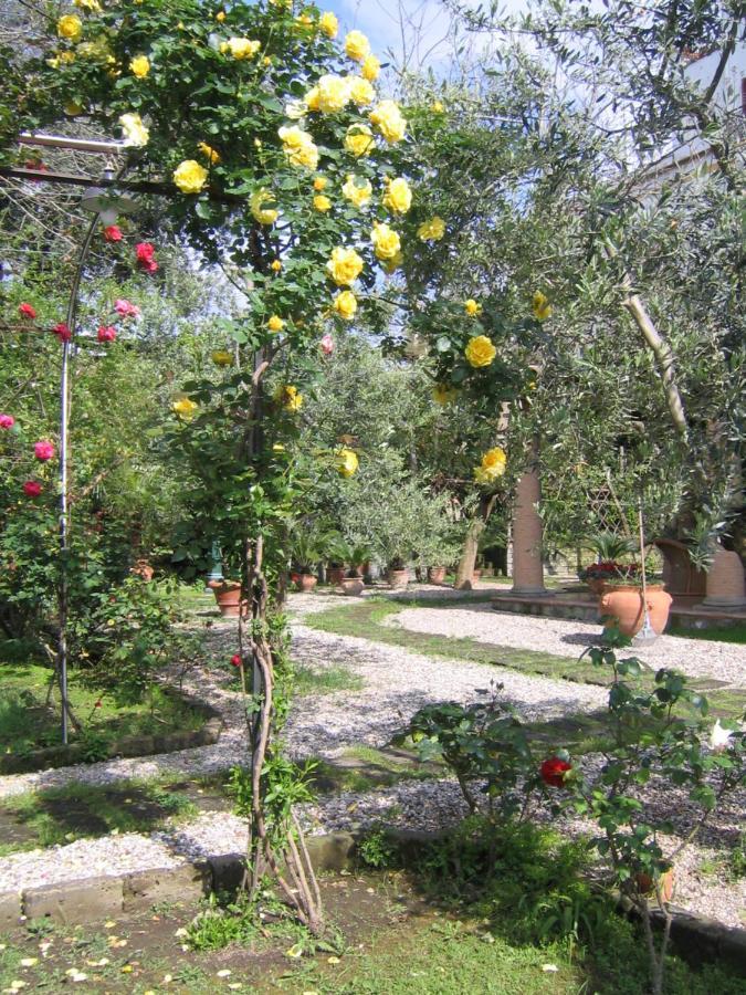 Suite Lidia B&B Sorrento Exteriör bild