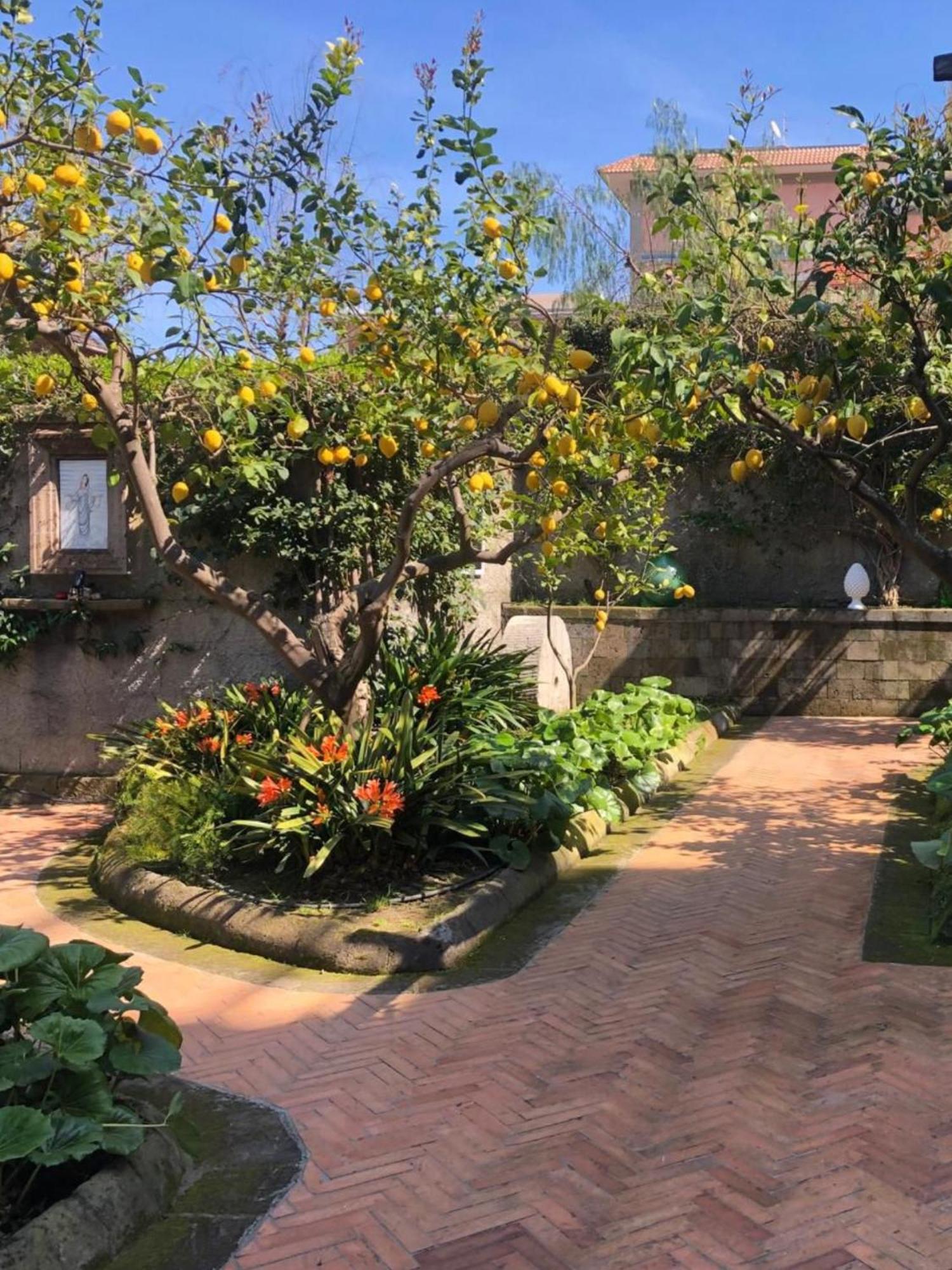 Suite Lidia B&B Sorrento Exteriör bild