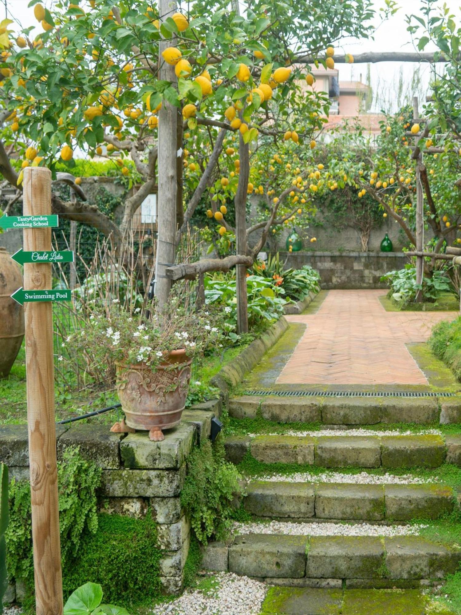 Suite Lidia B&B Sorrento Exteriör bild