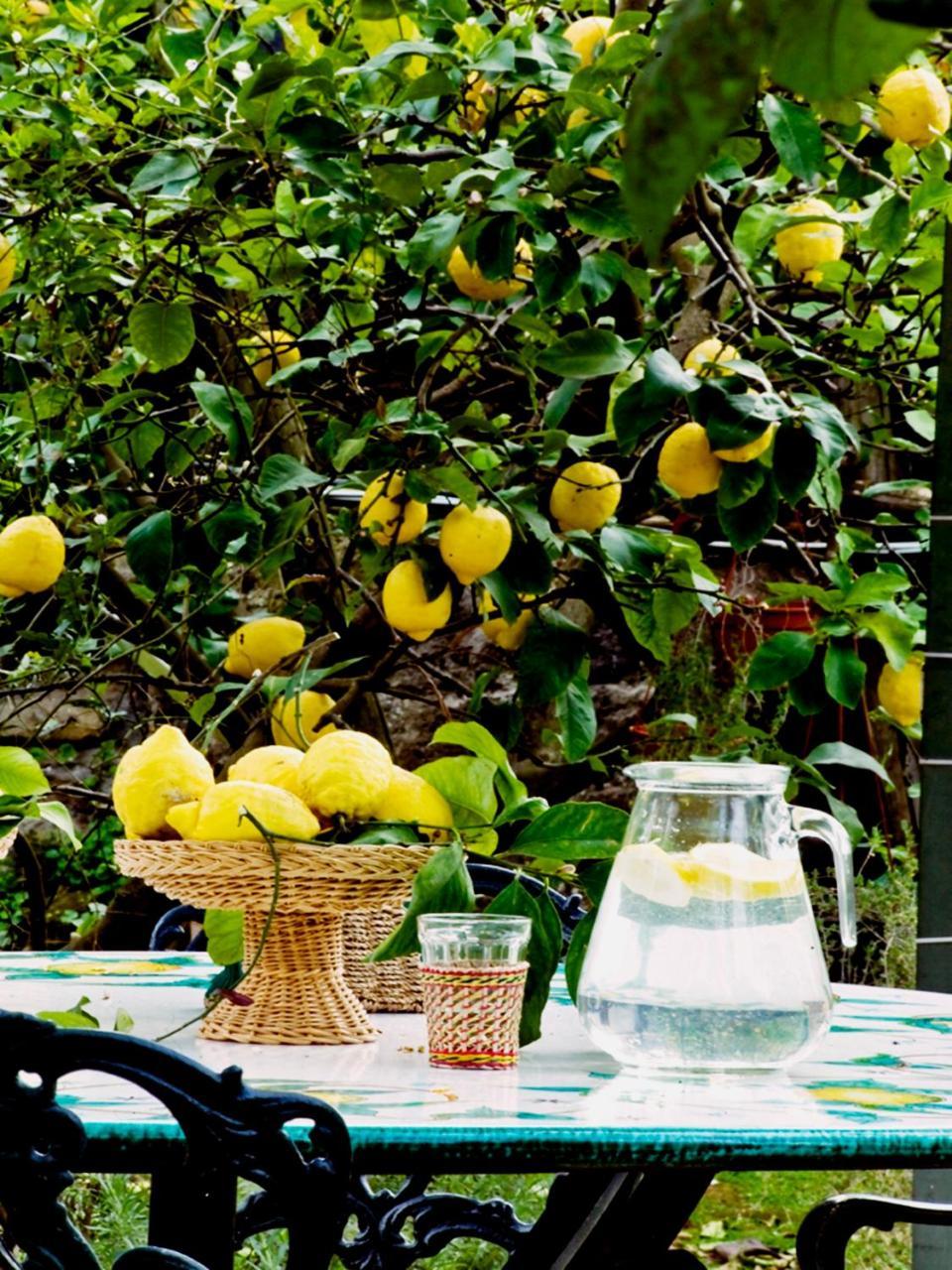 Suite Lidia B&B Sorrento Exteriör bild